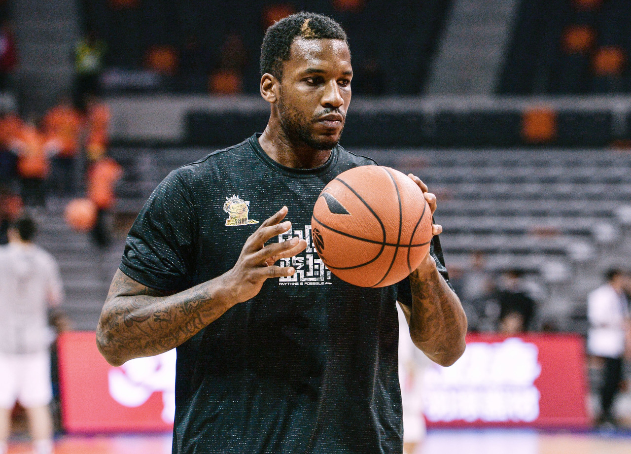 关节的稳定 关节的稳定